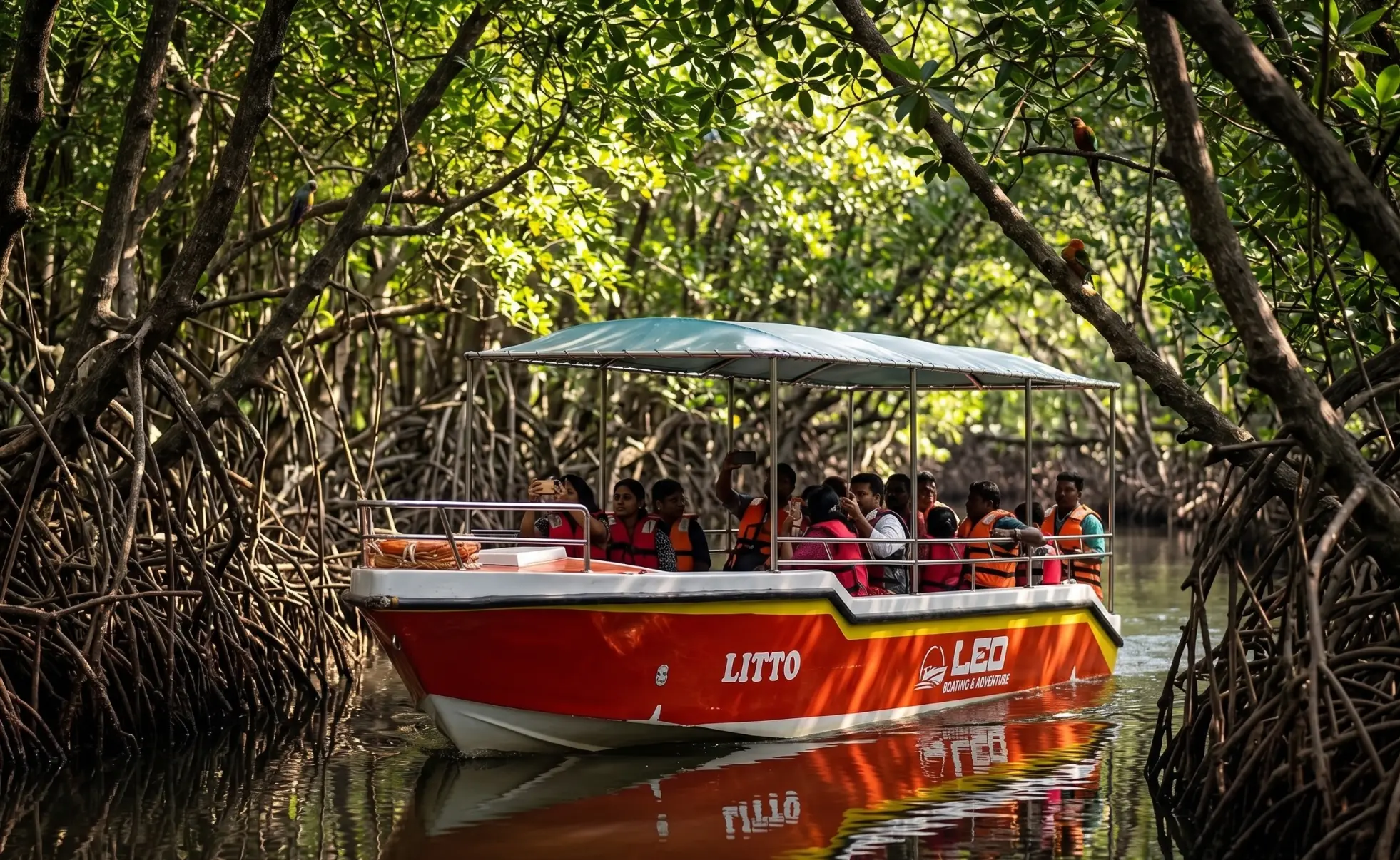 Mangrove Forest Boating Pondicherry